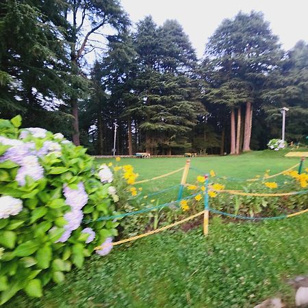 Hotel Smarthill Kalatop-Nature'S Heaven Dalhousie Exterior foto