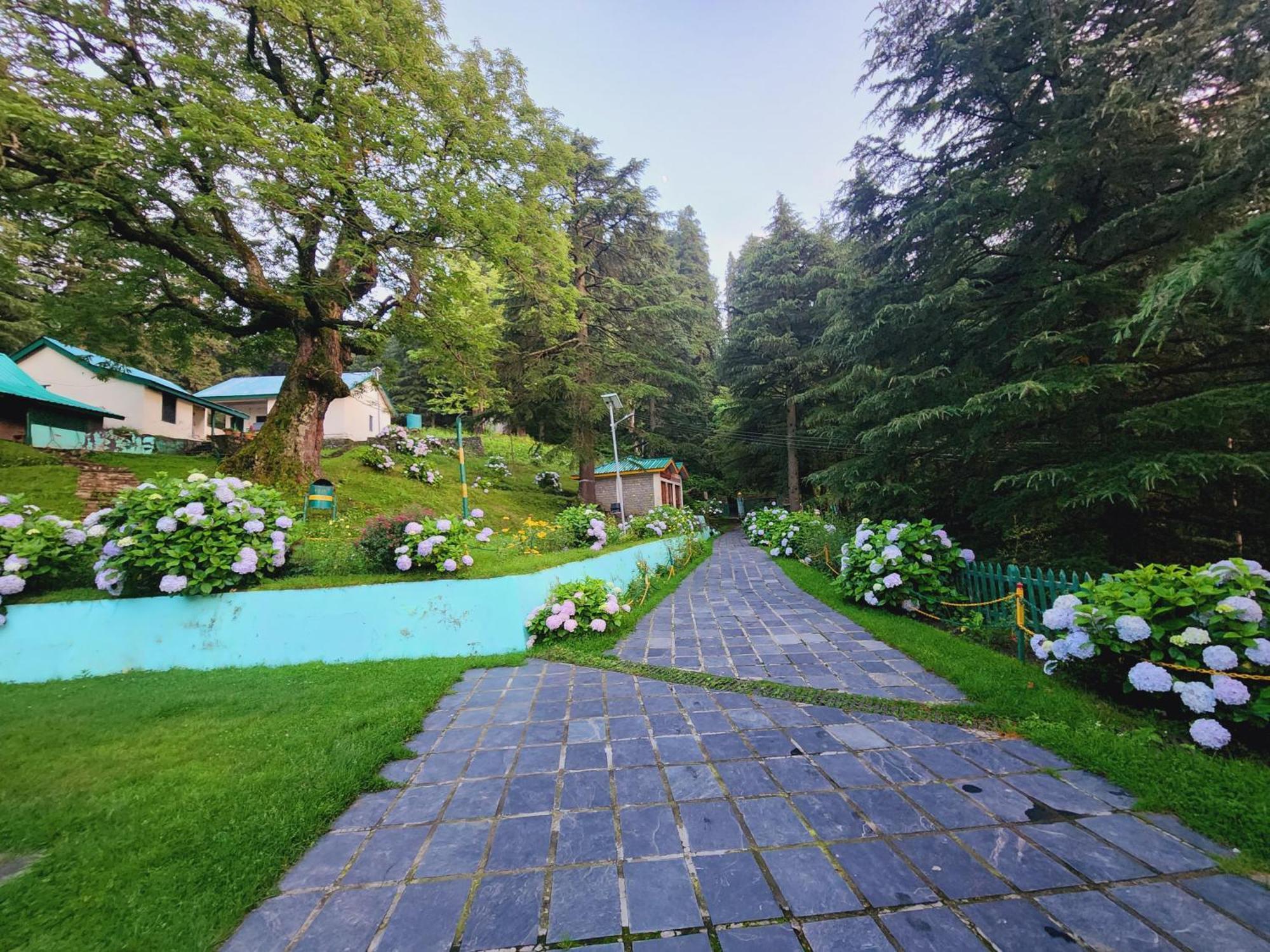 Hotel Smarthill Kalatop-Nature'S Heaven Dalhousie Exterior foto