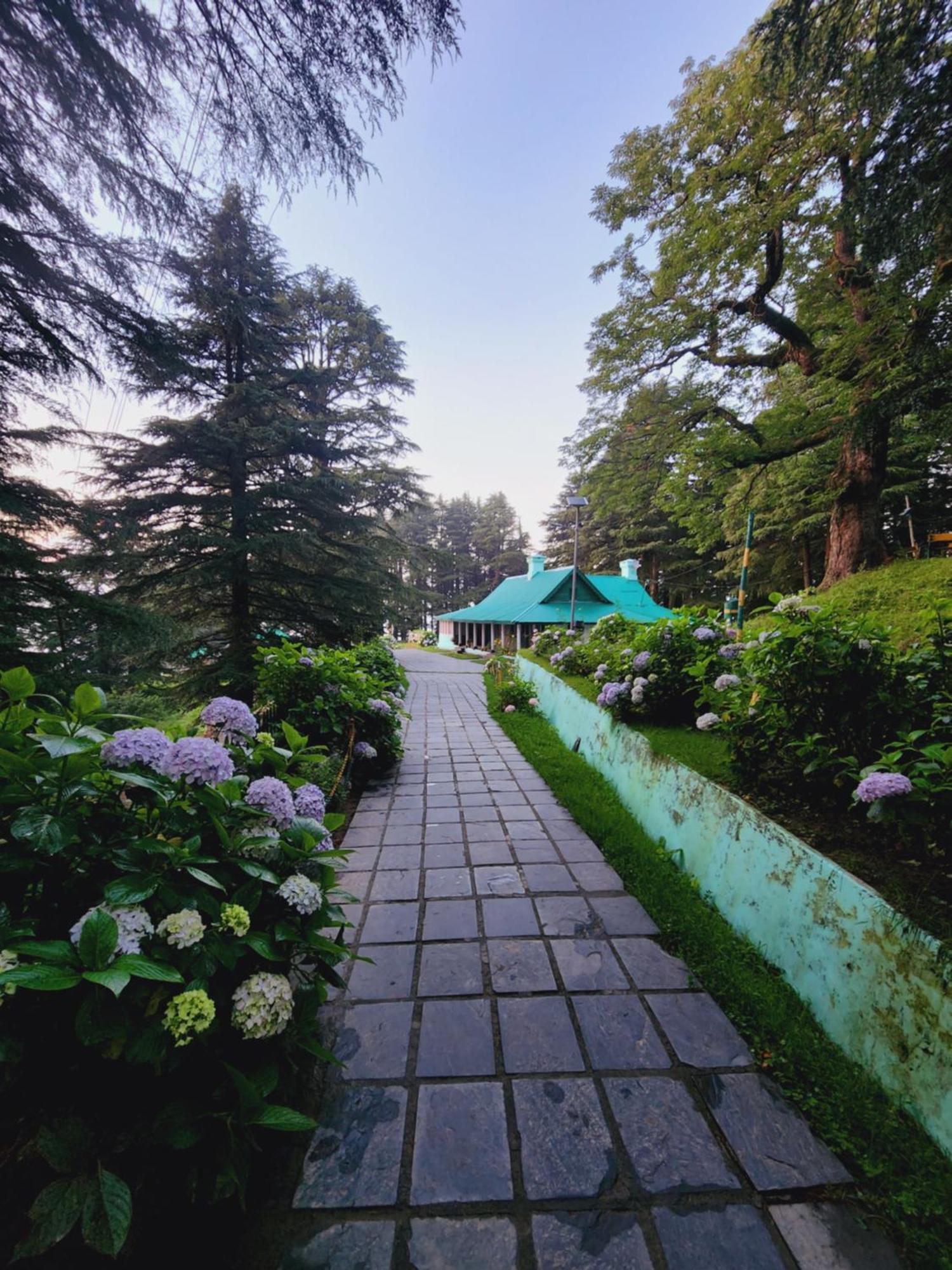 Hotel Smarthill Kalatop-Nature'S Heaven Dalhousie Exterior foto