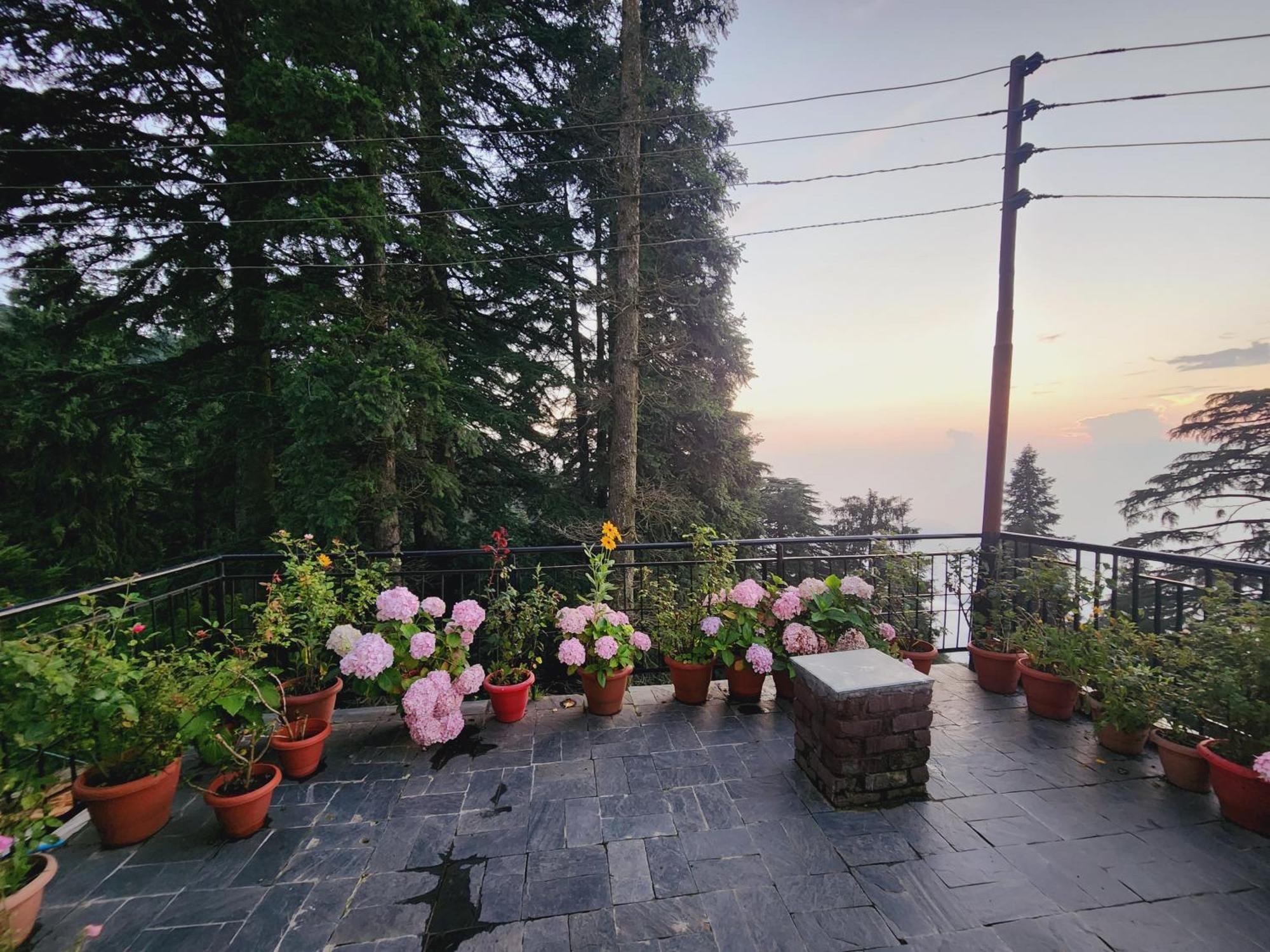 Hotel Smarthill Kalatop-Nature'S Heaven Dalhousie Exterior foto